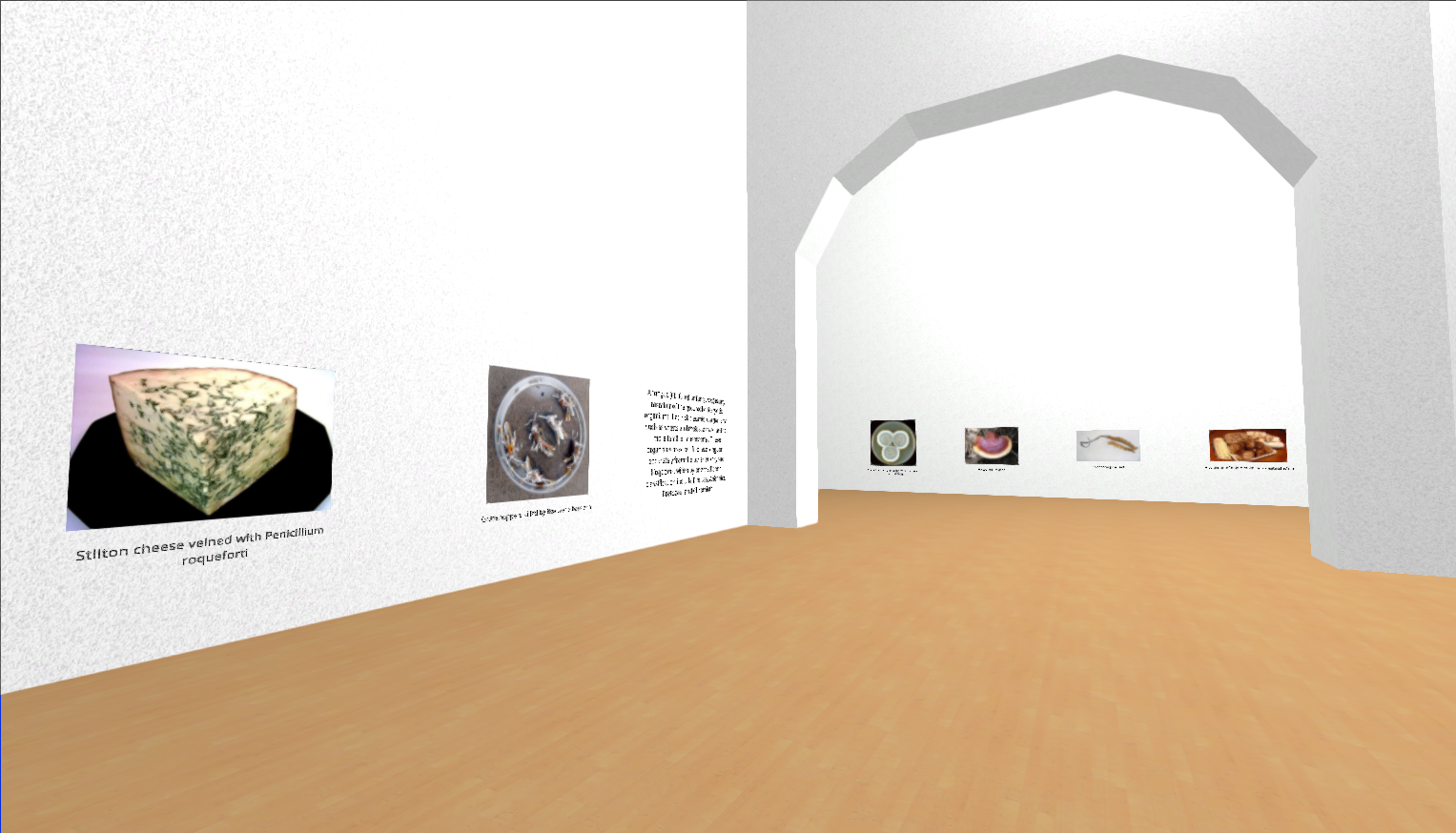 screenshot of the cheese exhibit. pictures of cheeses are displayed on the walls